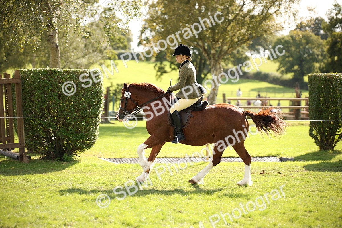 SBM_50051 - S26 - Young Veteran - Ridden