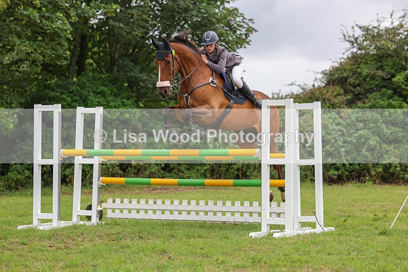 3E7A8193 - Class 7: Senior Newcomers/1.10m open