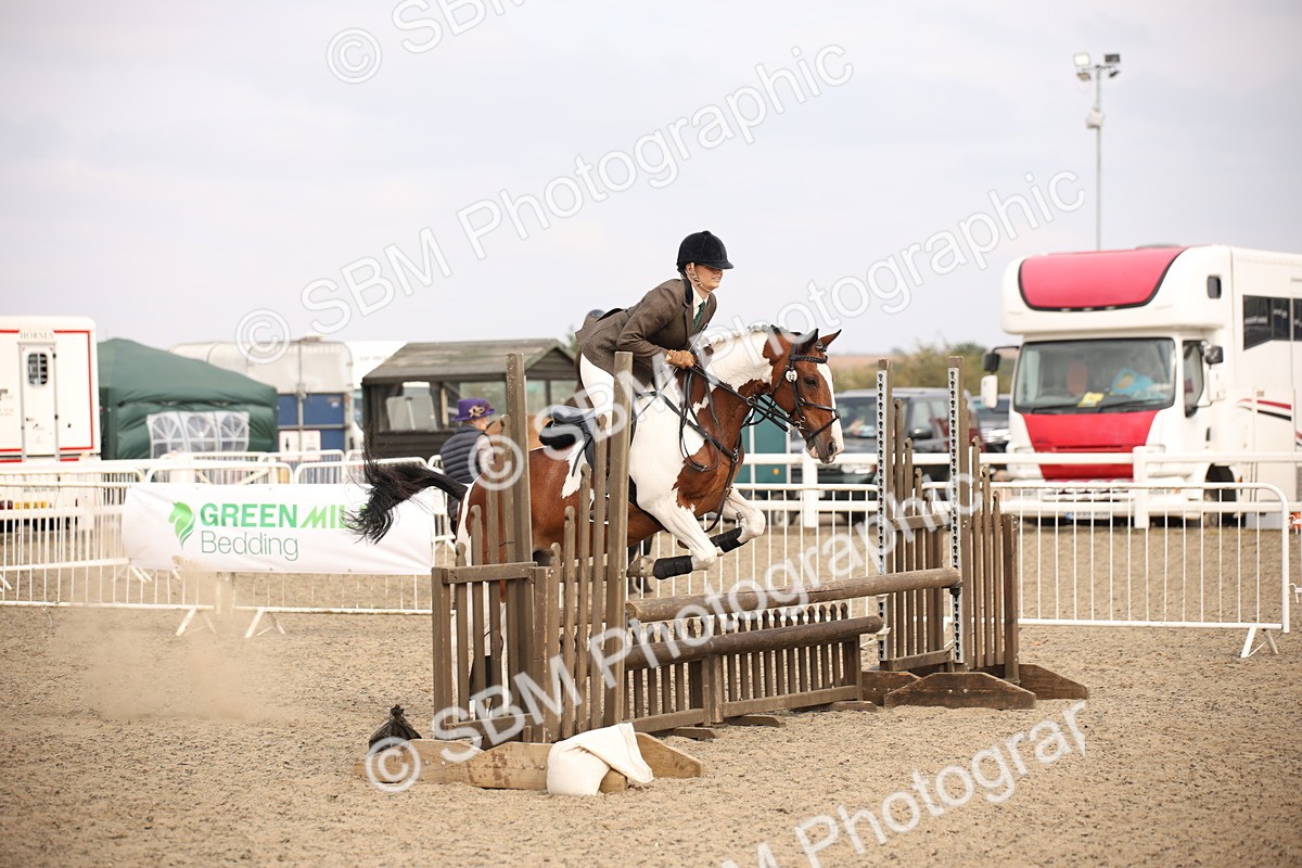 SBM_17131 - Class 409b - Working Veteran 80cm (20+)