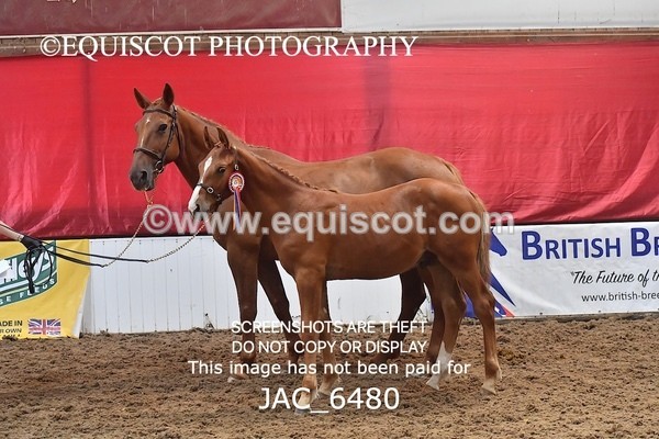 JAC_6480 - 19 Luca