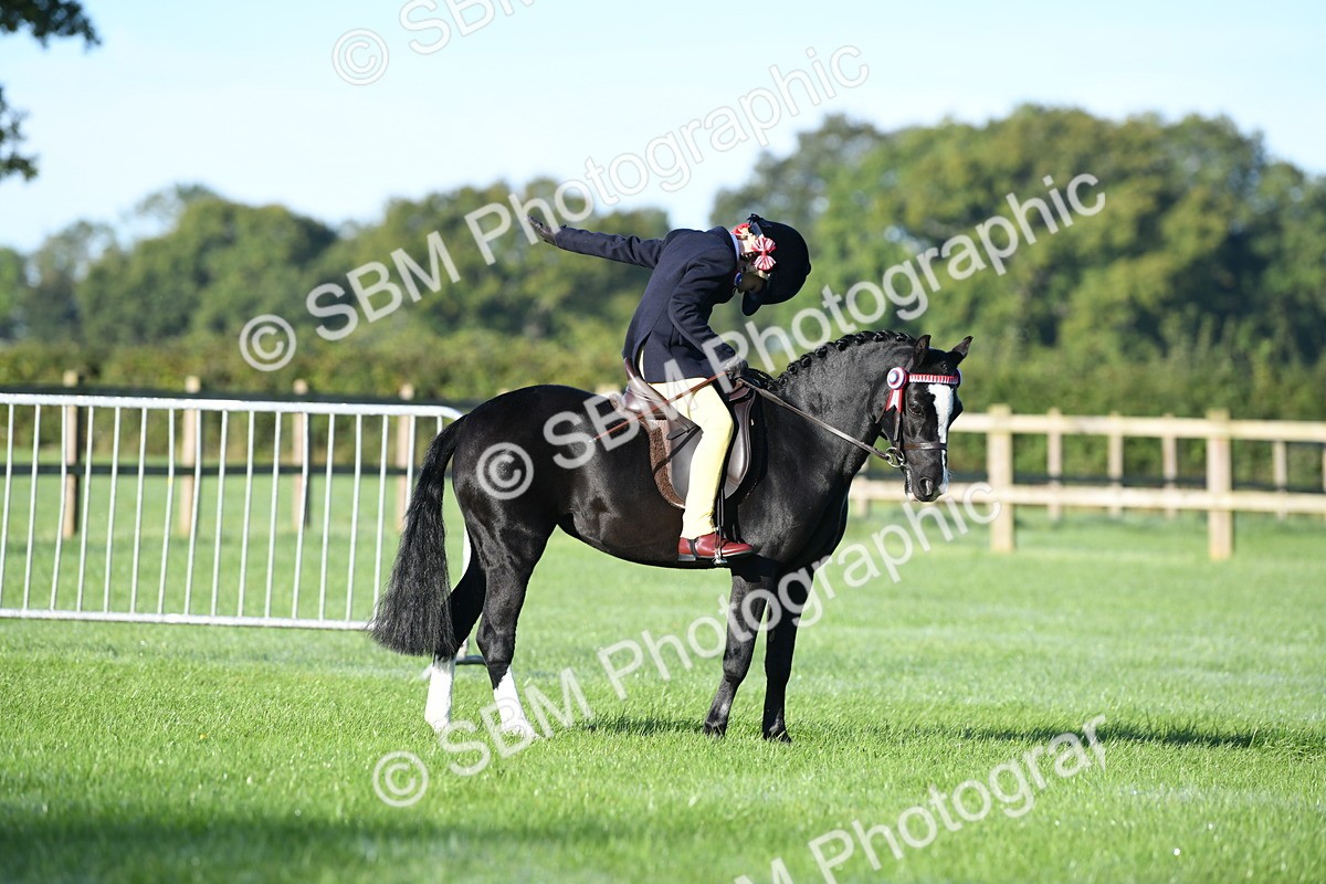 SBM_33981 - S16 - Condition & Turnout - Ridden