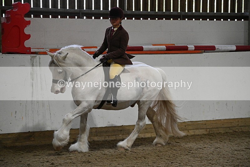 WJ7_4203 - Class 17 Ridden Cob