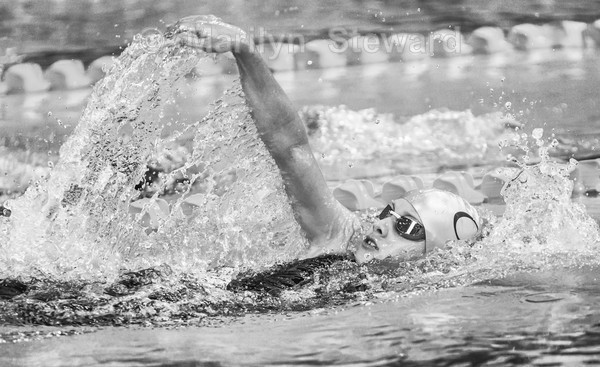 Raising her game - Exhibition acceptances