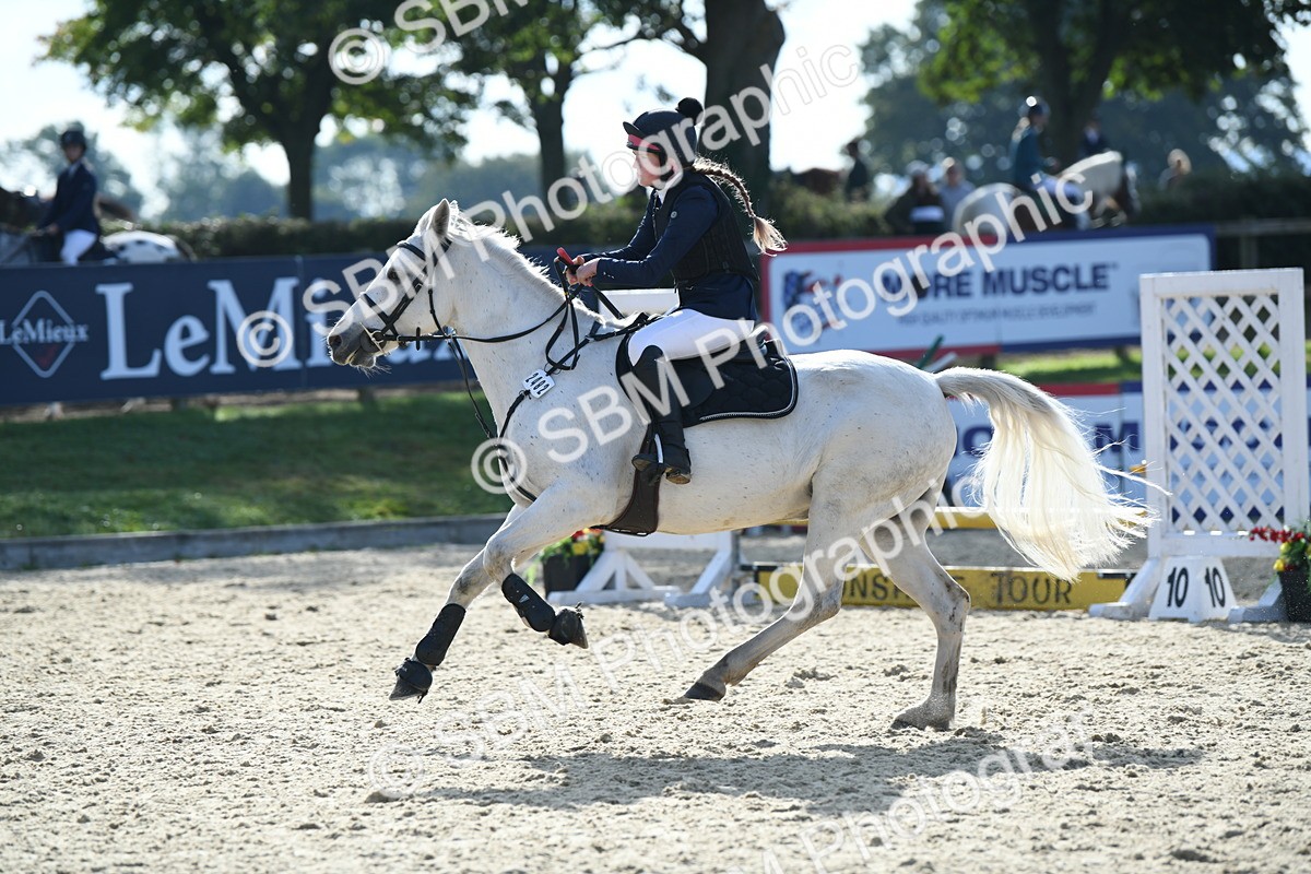 SBM_60666 - j25 - Junior Horse 80cm Championship