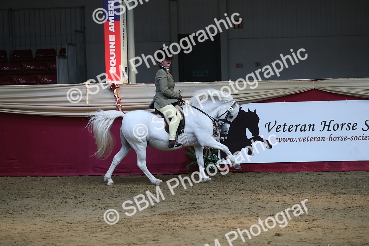 SBM_08305 - Class 11R Regional Ridden Veteran