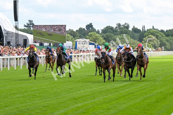 280625-Race 2-Quinault-0034 - Race 2 2.25pm Al Basti Equiworld Dubai Criterion Stakes