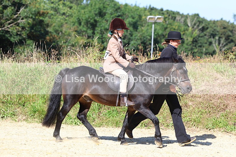 3E7A8036 - Class 15: Lead Rein