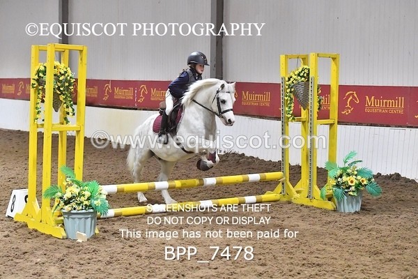 BPP_7478 - 40CM WORKING HUNTER