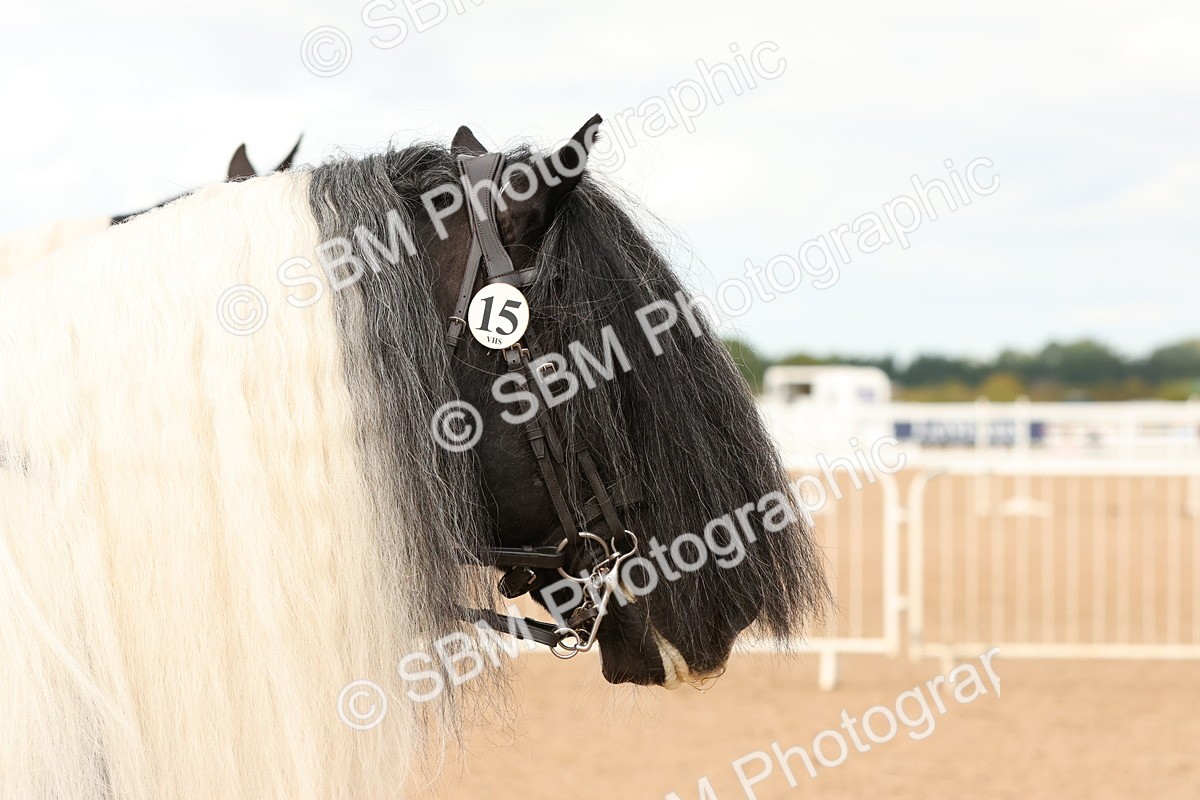 SBM_15685 - Class 215 - Ridden Traditional - Native Cobs