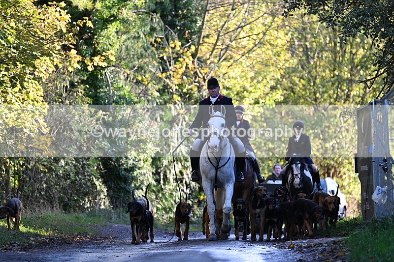 WJ7_8592 - Walk Home