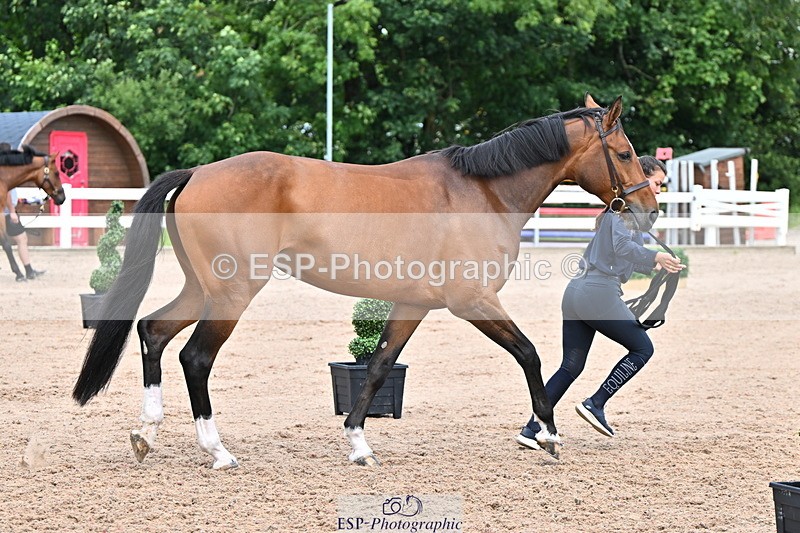 240718A-105321-01883 - Trot Up 1pm to 2pm