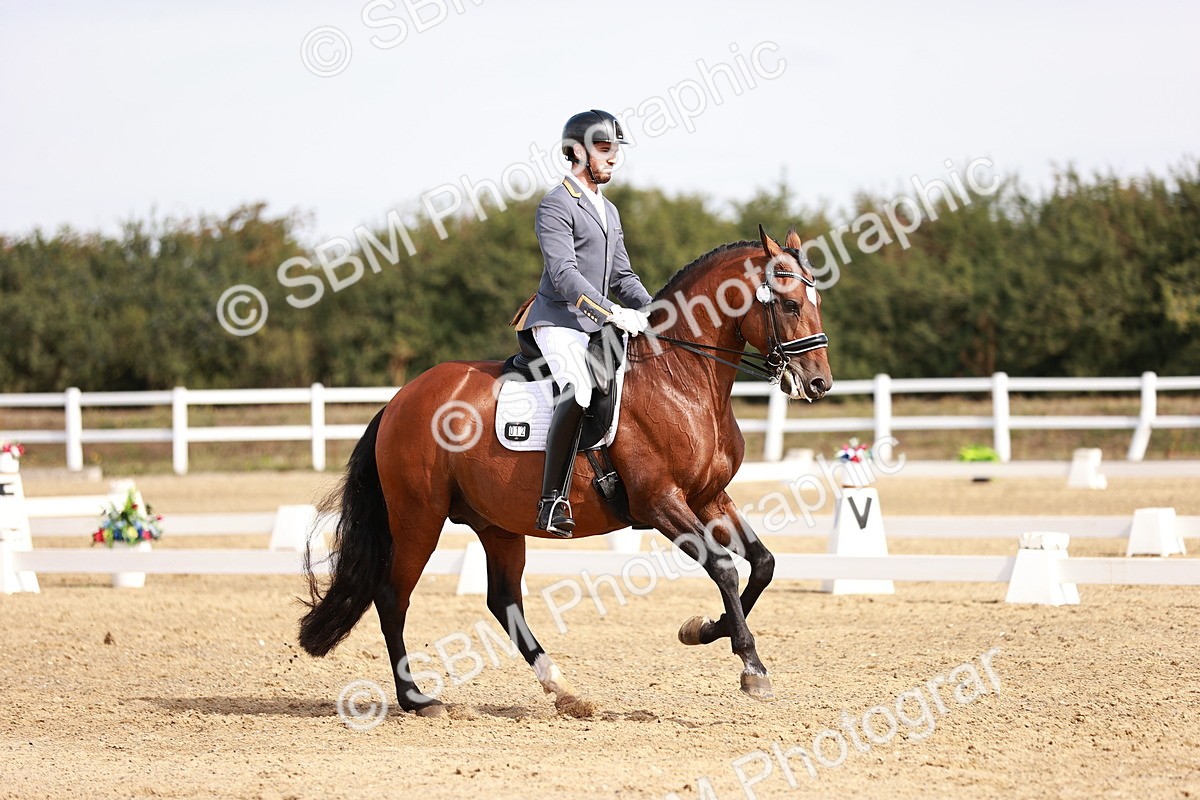 SBM_017588 - Class 11 - Advanced Medium 6