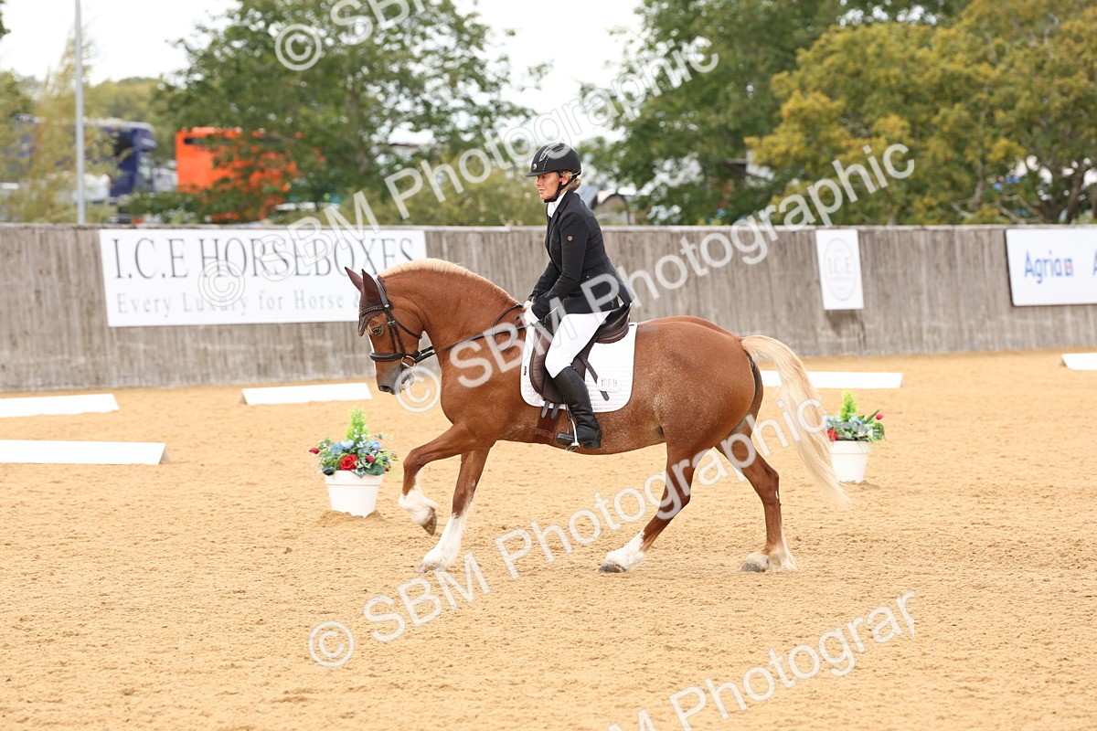 SBM_19519 - D10 - Small Tour Championship Prelim 2