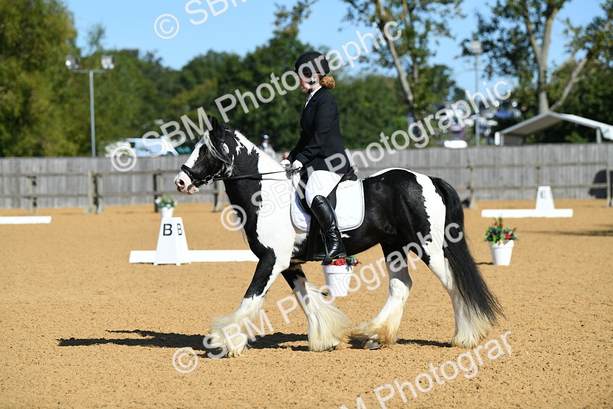 SBM_18074 - D4 - Small Tour Championship - Intro B