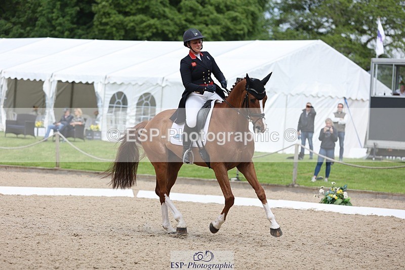 240524-103711-07463 - 263-CHILLI_MORNING_IV-Gemma_Stevens