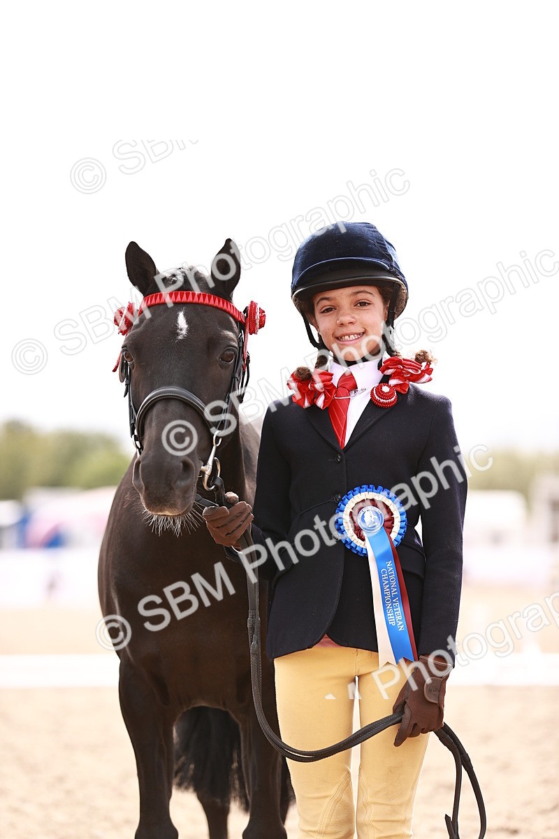 SBM_18337 - Class 417 - Handsome Gelding (IH or Ridden - JNR)