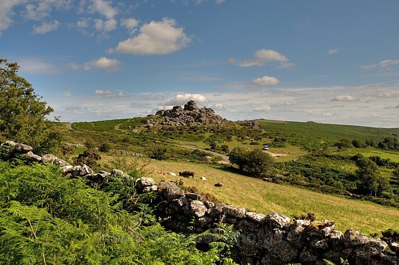 Bonehill Rocks - Dartmoor