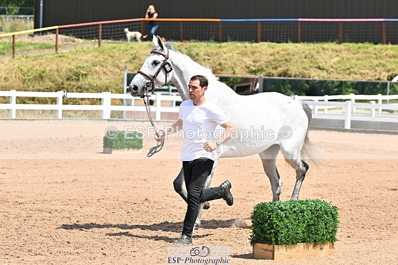 240718A-105310-01661 - Trot Up 1pm to 2pm