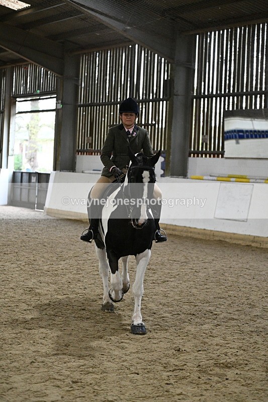 WJ7_4052 - Class 17 Ridden Cob