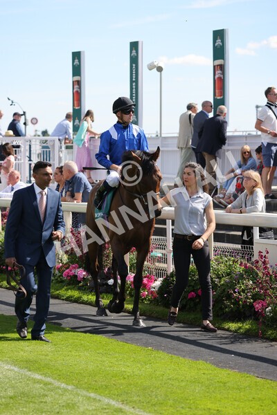 yr09072022r5-20 - Race 5 4.05pm John Smith's Cup