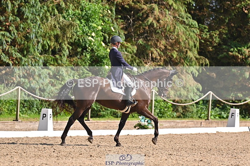 250523A-163848-08120 - B-379-Kelli.Frewin-HIDDEN.GOLD