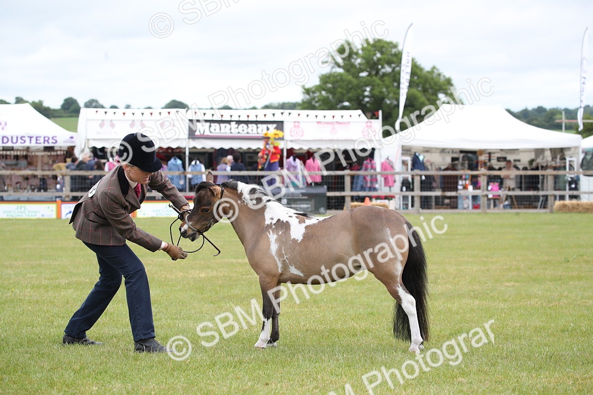 SBM_03972 - Class 23-25 - British Miniature Horse of the Year