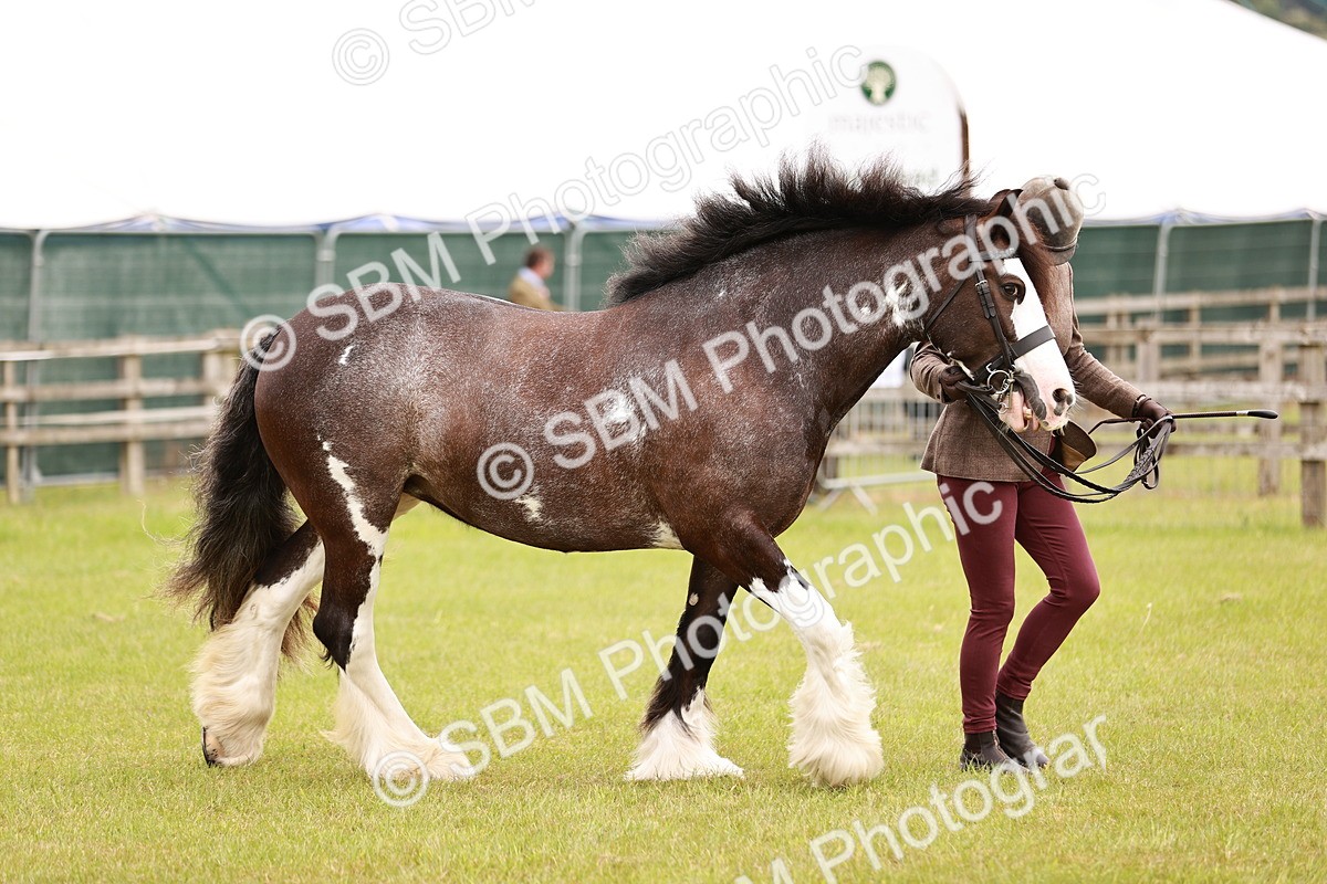 SBM_04629 - Class 5-8 - BSPA In hand