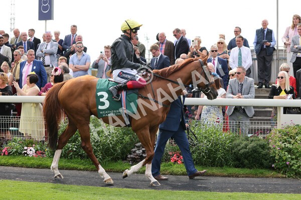 yr20082021r2-26 - Race 2 2.25pm Weatherbys Hamilton Lonsdale Cup (British Champion Series race)