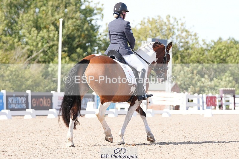 250906-151638-04709 - 112-Mel.DayDolderwydd.lucky.Maisie