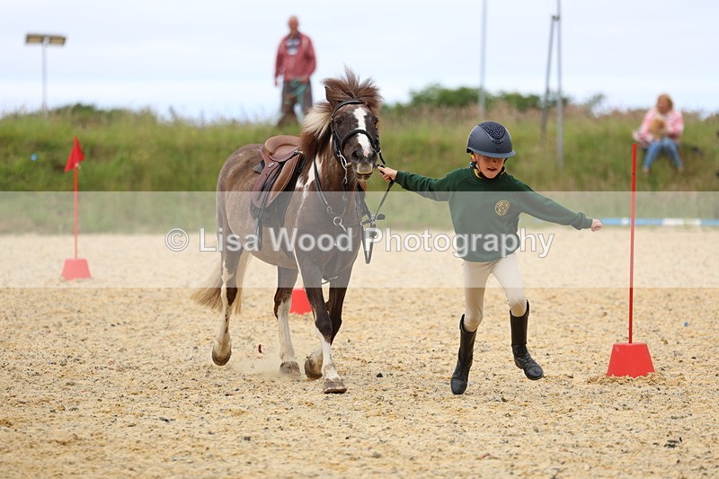 3E7A9581 - Walk trot run