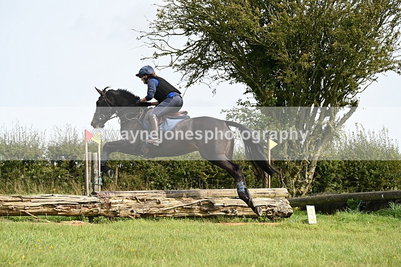 WJ6_9217 - Time 13:21 to 13:29