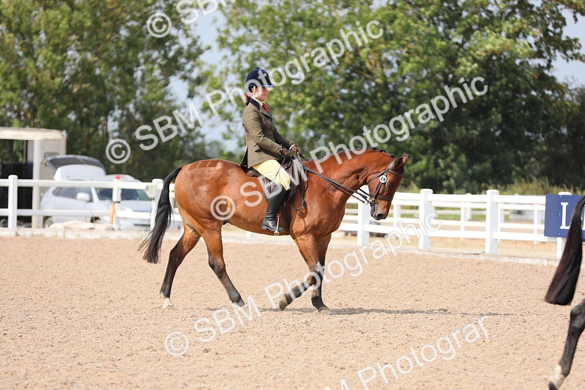 SBM_15564 - Class 311 Ridden Show Pony/ Show Hunter Pony