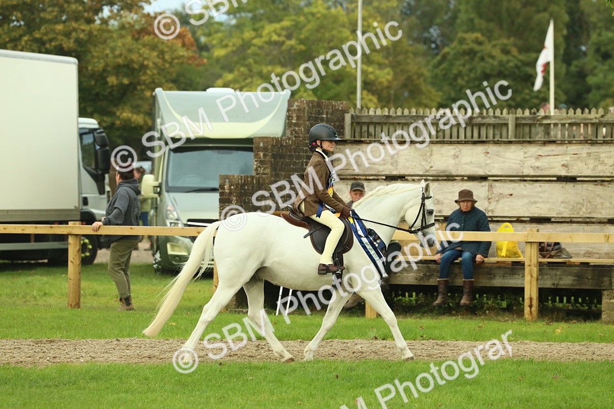SBM_75242 - Super Supreme Championship