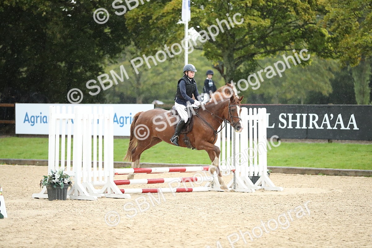 SBM_34497 - J60 Clear Round 50cm