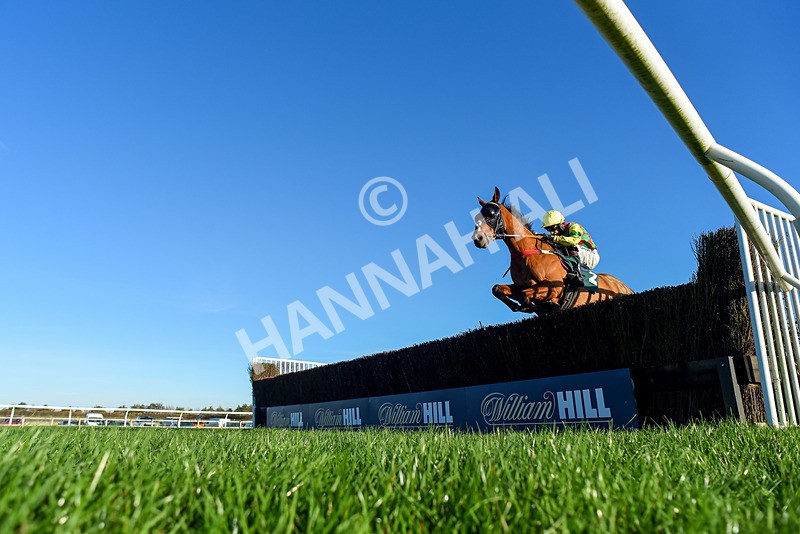 221124-Race 4-Duke Of Luckley-2763 - Race 4