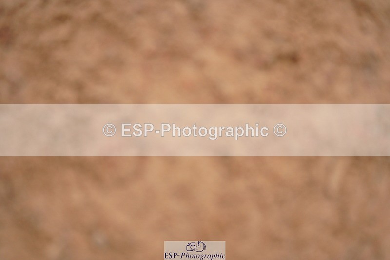 240506A-084730-07824 - Cls 11 Stepping Stones 128cm & 138cm