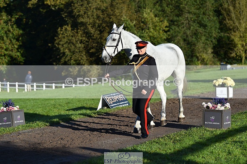 231022-093204-21858 - 688-MCALLISTER-Capt.Amy.Cooper-TrotUp+SJ