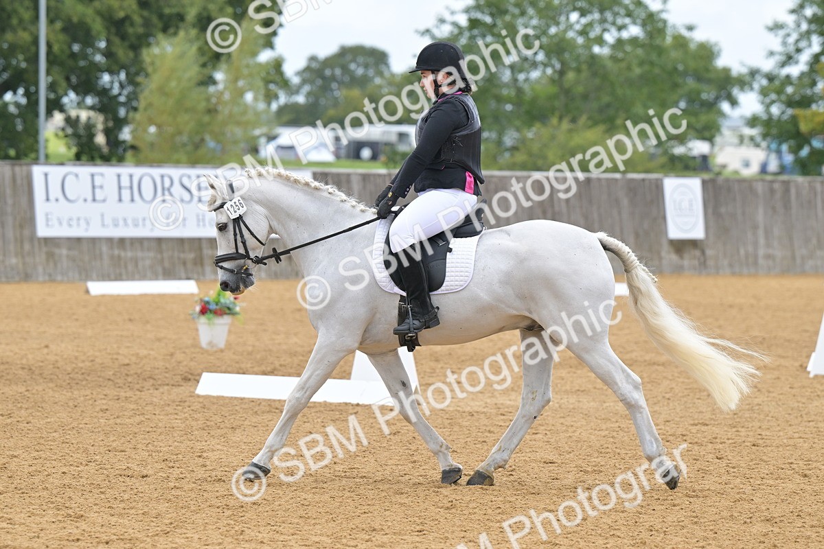 SBM_03834 - D2 - Small Tour Championship Intro 2