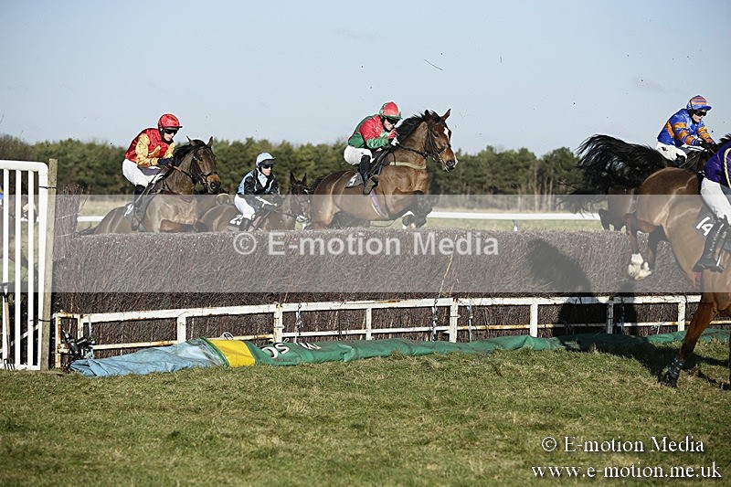PtP 070118 -390 - Larkhill Racing Club Point to Point Larkhill 07/01/2018