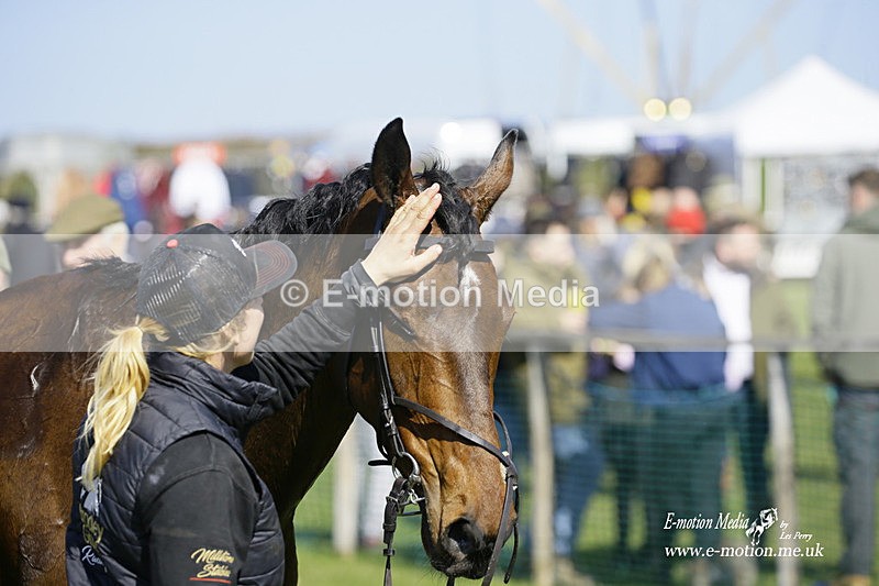PtP 190322 258 - Wilton Hunt PtP Milborne St Andrew 19/03/22