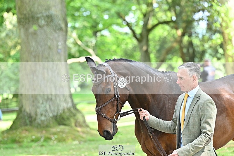 250521A-151522-00376 - B-355-Andrew.James-PRIMITIVE.PROPOSITION