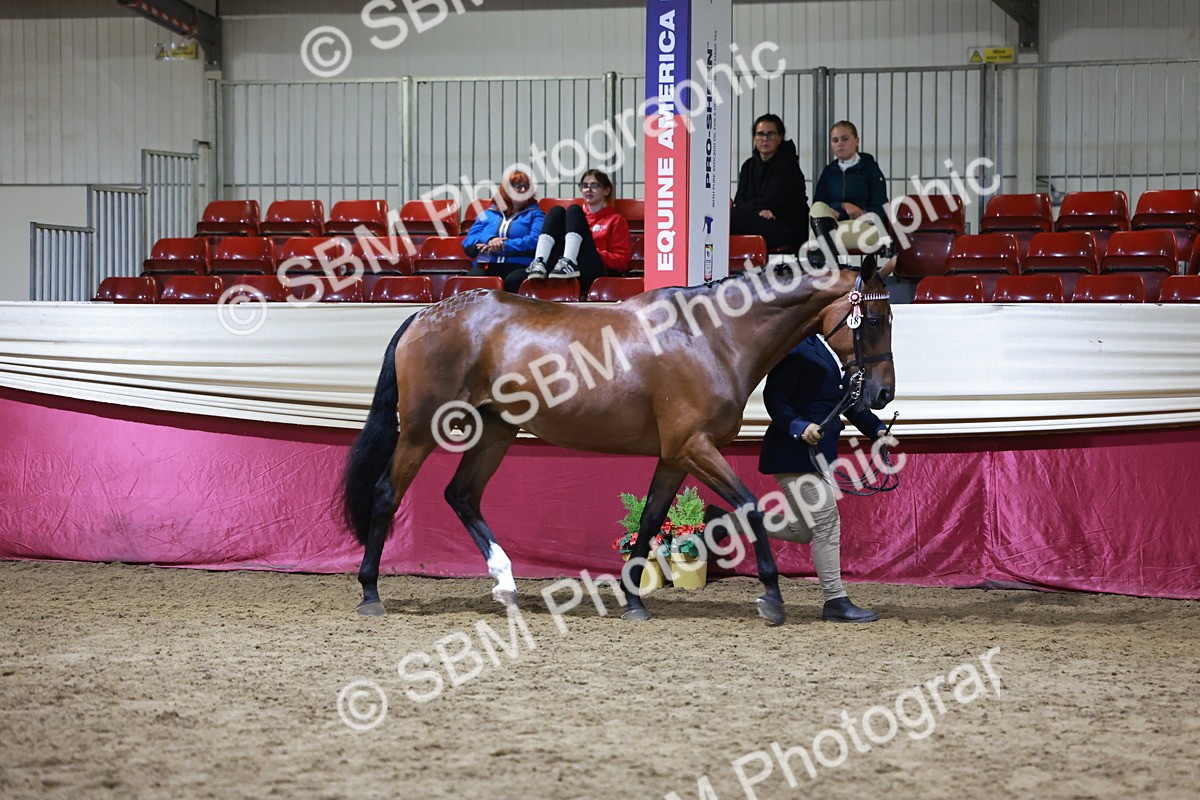 SBM_21521 - Class V - Champion of Champions