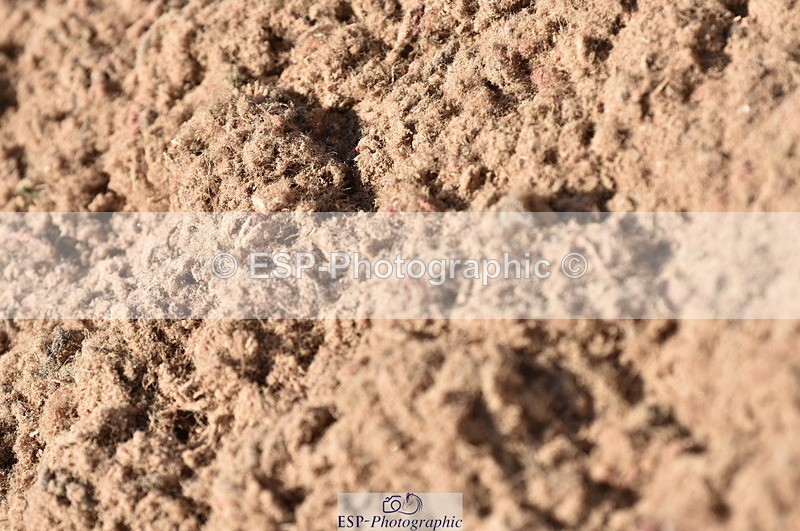 230810A-111522-00829 - Cls 9 Foxhunter