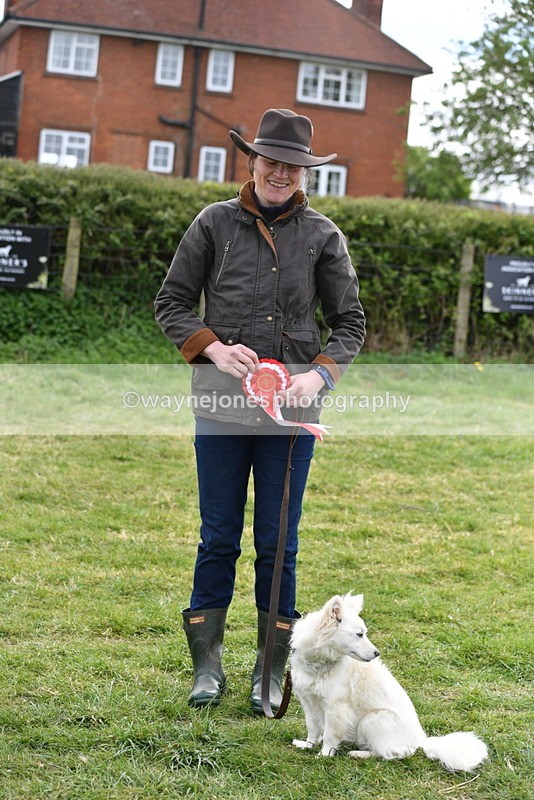 WJ5_9395 - Class 1 Best Cross Breed / Heniz 57