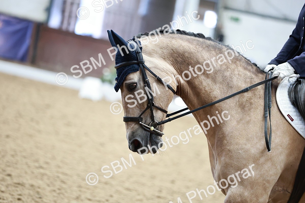 SBM_014160 - Class 7 - Ele FSM Bronze 12.12.13.08
