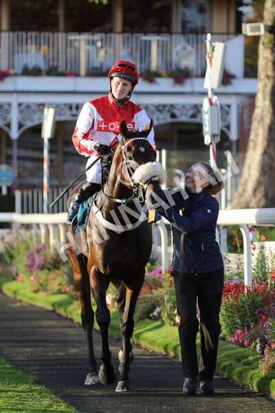 yr07102022r7-37 - Race 7 5.35pm IRE Incentive, It Pays To Buy Irish Stakes