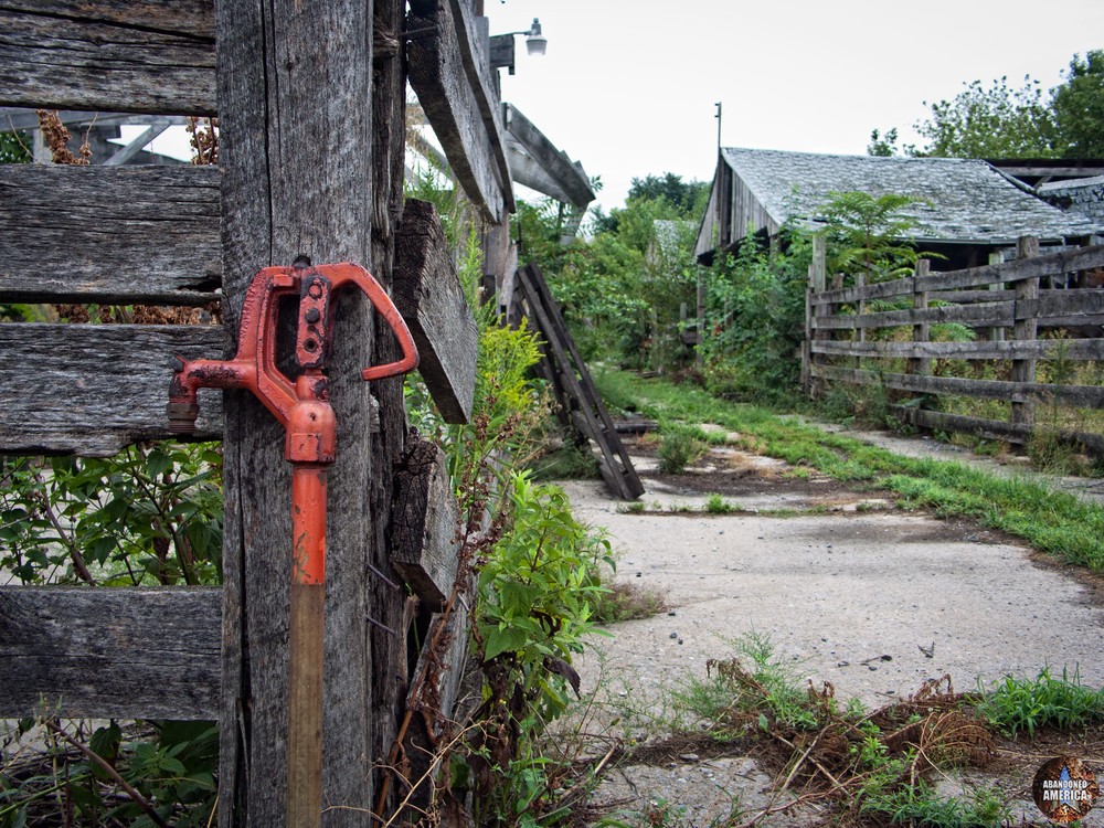 The Lancaster Stockyards | Burst of Red - Lancaster Stockyard