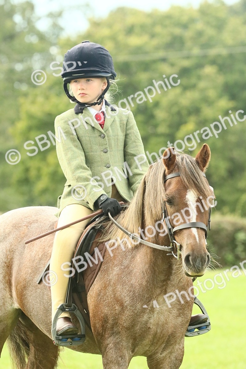 SBM_70000 - S59 - Mountain & Moorland Ridden Small Breeds
