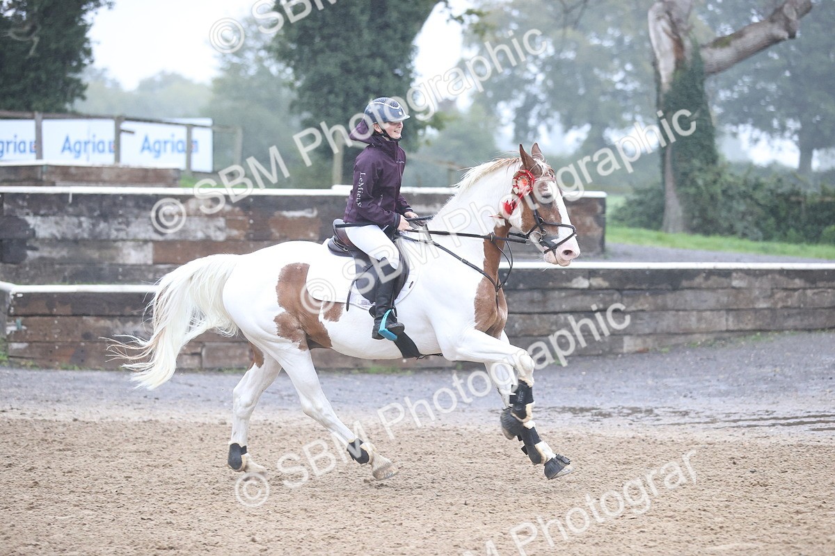 SBM_73657 - J19 - Junior Horse & Pony 90cm Supreme championship