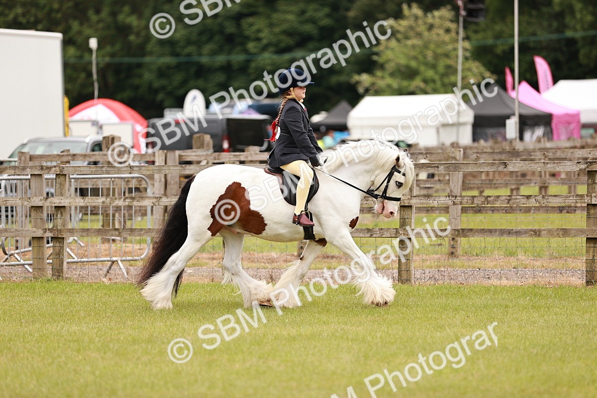 SBM_06232 - Class 39-41 TGCA In Hand and Ridden